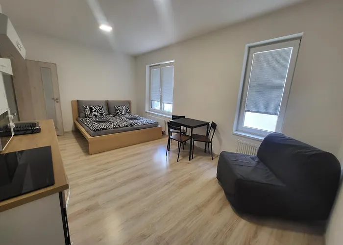 Апартаменты Rezidence Krenova - Brno-stred- Trnita *