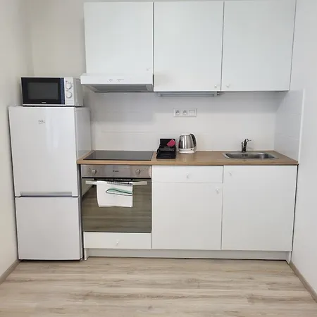 Rezidence Krenova - Brno-stred- Trnita Apartment