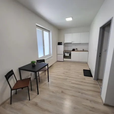 Rezidence Krenova - Brno-stred- Trnita