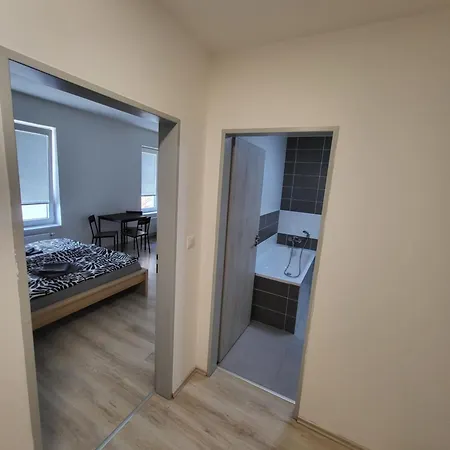 Apartment Rezidence Krenova - Brno-stred- Trnita *