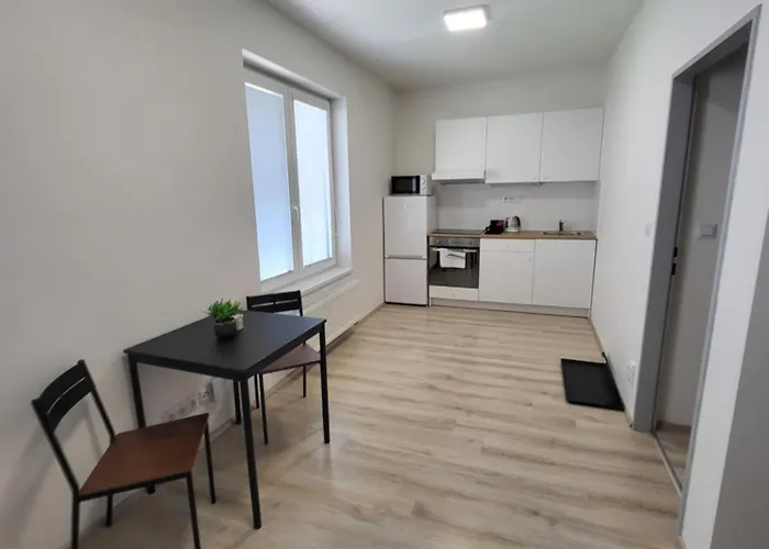 Rezidence Krenova - Brno-stred- Trnita