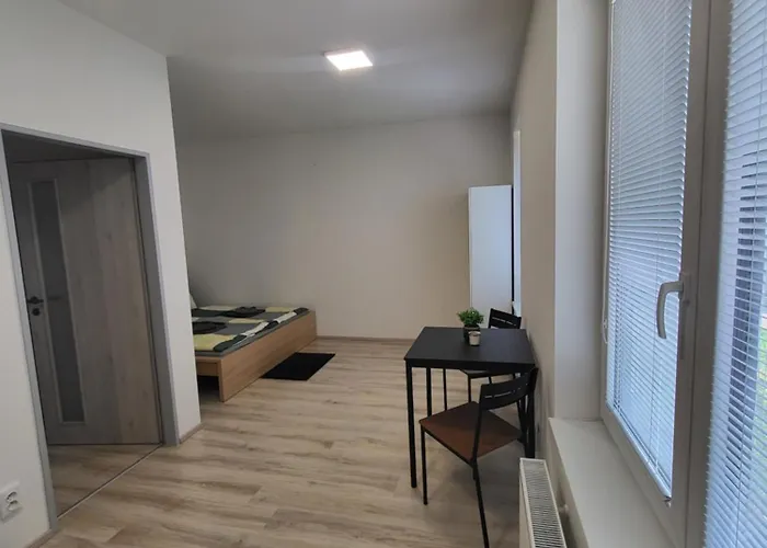 Rezidence Krenova - Brno-stred- Trnita