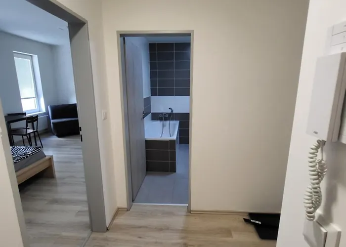 Rezidence Krenova - Brno-stred- Trnita