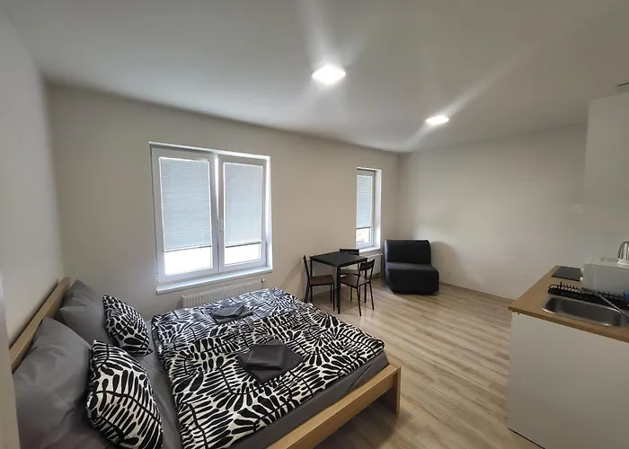 Rezidence Krenova - Brno-stred- Trnita 아파트 *